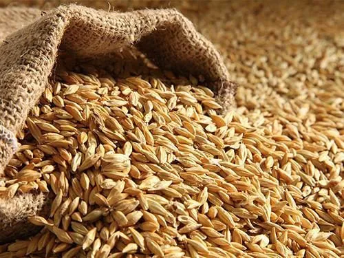 фотография продукта Закупаем пшеницу, горох, ячмень