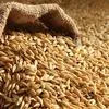 закупаем пшеницу, горох, ячмень в Кургане